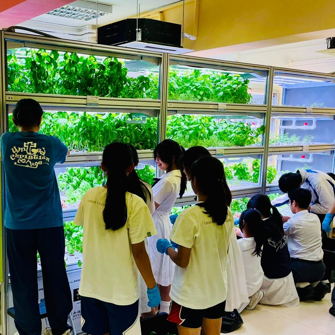 AI觸手可及：速解難題，還是個人成長？ 